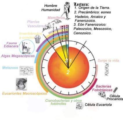 edades de la tierra|Escala temporal geológica